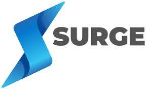 Surge Components, Inc. (OTCMKTS:SPRS) Short Interest Down 50.0% in March - Vimarsana News