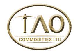 TAO stock logo