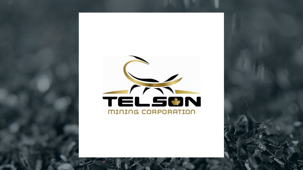 Telson Mining logo