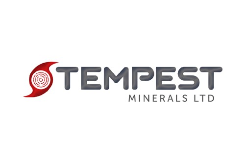 TEM stock logo