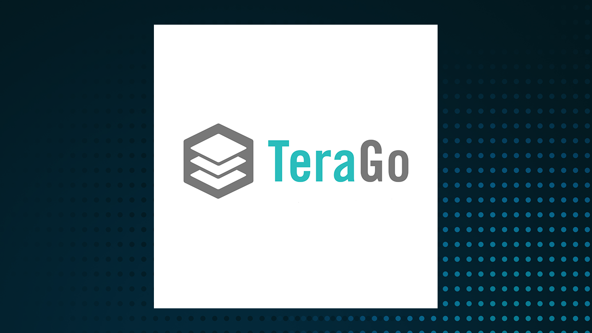 TeraGo logo