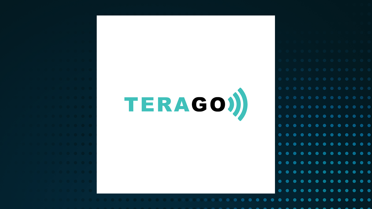 TeraGo logo