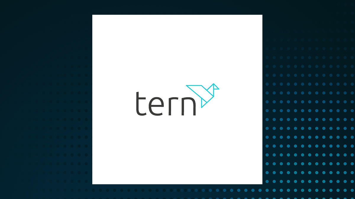 Tern logo