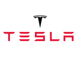 TSLA stock logo