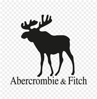 Abercrombie & Fitch Company stock logo
