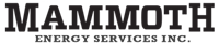Mammoth Energy Services, Inc. stock logo
