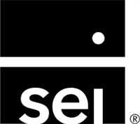SEI Select Small Cap ETF stock logo