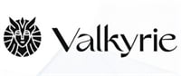 Valkyrie Bitcoin Strategy ETF stock logo