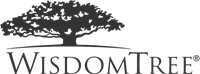 WisdomTree, Inc. stock logo