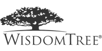 WisdomTree Interest Rate Hedged U.S. Aggregate Bond Fund stock logo