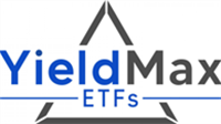 YieldMax Nasdaq 100 0DTE Covered Call Strategy ETF stock logo