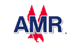 American Airlines Group Inc. stock logo
