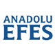 Anadolu Efes Biracilik ve Malt Sanayii Anonim Sirketi stock logo