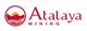 Atalaya Mining Plc stock logo