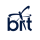 BioRestorative Therapies, Inc. stock logo