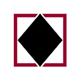 Black Diamond Group stock logo