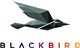 Blackbird plc stock logo