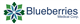 Blueberries Medical Corp stock logo