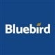 Bluebird Merchant Ventures Limited stock logo