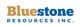 Bluestone Resources Inc. stock logo