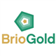 Brio Gold Inc. stock logo