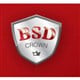 B.S.D Crown Ltd. stock logo