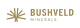 Bushveld Minerals Limited stock logo