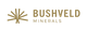 Bushveld Minerals Limited stock logo