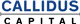 Callidus Capital Corp stock logo