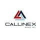 Callinex Mines Inc. stock logo