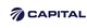 Capital stock logo