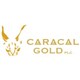 Caracal Gold Plc stock logo