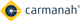 Carmanah Technologies Corp stock logo