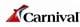 Carnival Co. & plc stock logo