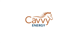 Cavvy Energy Ltd. logo
