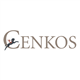 Cenkos Securities plc stock logo