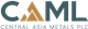 Central Asia Metals plc stock logo