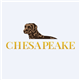 Chesapeake Gold Corp. stock logo