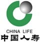China Life Insurance Company Limited stock logo