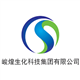 China Sun Group High-Tech Co. stock logo