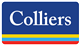 Colliers International Group Inc. stock logo