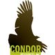 Condor Resources Inc. stock logo