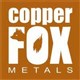 Copper Fox Metals Inc. stock logo