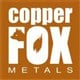 Copper Fox Metals Inc. stock logo