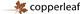 Copperleaf Technologies stock logo