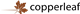 Copperleaf Technologies Inc. stock logo