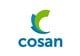 Cosan Limited stock logo