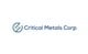 Critical Metals Corp. stock logo