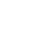 Cybin Inc. stock logo