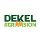 Dekel Agri-Vision plc stock logo